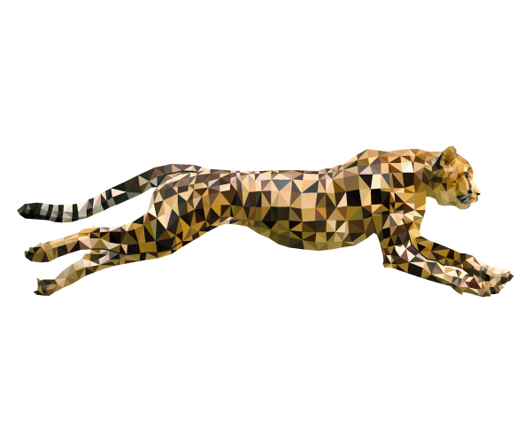 ghepardo ict tlc
